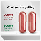 LABO Nutrition CHOLRestore – Red Yeast Rice with Phytosterol Health Supplement, Supports Healthy Cholesterol Levels, Citrinin & Aflatoxin Free, 90 Vege Capsules 3x3