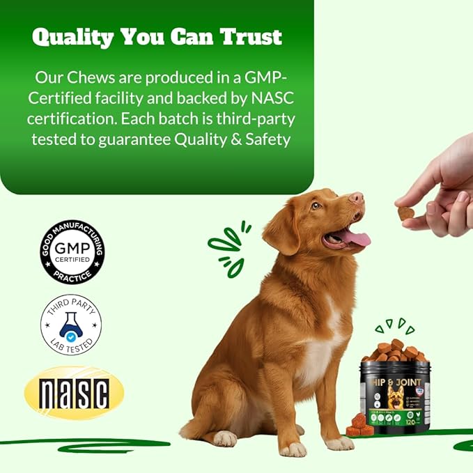 Dog Joint Supplement Chews with Glucosamine & MSM & Omega 3–Joint Support for Senior & Large Breed Dogs, Alternative for Longevity & Healthy Aging, Mobility Treatment & Flexibility with CoQ10-120 Ct