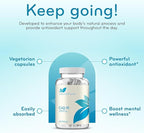 Quick Absorption CoQ10 200mg - Coenzyme Q10 200mg Potent Antioxidant for Heart Energy and Aging Support - High Stability CoQ10 Ubiquinone Capsules - Made in a cGMP US Lab (200 Servings)