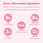 Prenatal Vitamin Gummies with DHA | Vegan Prenatal Vitamins for Women with Omega 3, Folate, Choline & D3, Pregnancy Vitamins for Fetal Development | Gummy Multivitamin Supplement, 120 Count (2-Pack)