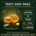 Mullein Gummies, 8-in-1 Natural Herbal Blend, Pineapple Flavor, 60 Count, Respiratory Support Supplement with Elderberry, Vitamin C, Ginger Root