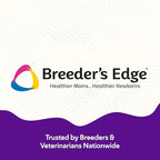 Breeder’s Edge B Strong Powder, B-Complex Vitamin Supplement for Dogs and Cats, Supports Reproductive Health, Promotes Normal Heat Cycles, and Helps Maintain Energy, 1kg