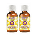 Deve Herbes Pure Peach Kernel Oil (Prunus persica) Cold Pressed (Pack of Two) 100ml X 2 (6.76 oz)