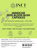 Iset By Nature Jamaican Dog Blood Bush Capsules 1400mg - Fertility Supplements for Women to Support Hormone Balance & Conception, PCOS Relief with Organic Jamaican Dog Blood Herb - 60 Capsules, Vegan