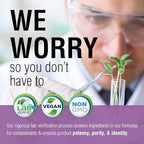 SOLARAY Fermented Korean Ginseng Root Extract | Healthy Stress, Energy & Physical Endurance Support | Vegan, Non-GMO | 30 VegCaps