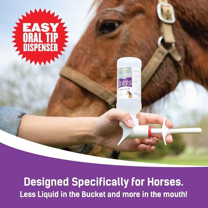 Hyalogic Hyaluronic Acid for Horses 90 Day Supply Easy Oral Tip Dispenser - Liquid HA Supplement for Equine Joints and Cartilage Support - Hyalun Pro - 9 oz / 296 ml