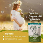 Red Raspberry Leaf Tea Organic – Loose Raspberry Leaves for PMS Symptom Relief, Healthy Women's Cycle, and Reproductive Health – 2 Ounces