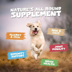 Pets Purest Salmon Oil for Dogs, Cats, Horses, Ferrets & Pets - 32 Fl Oz 100% Pure Premium Food Grade - Natural Omega 3, 6 & 9 Supplement - Promotes Coat, Skin, Joint and Brain Health