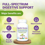Digestive Enzymes with Ox Bile and Betaine HCl (100 Caps) Ox Bile Supplements for No Gallbladder with Papain & Pepsin A | Pancrease Cleanse & Detox - Pancreatin Digestion Enzymes for Women & Men