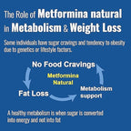 METFORMINA Natural - Weight Loss Aid - Metabolism Support - Dr Salomon (60 Capsules)