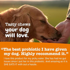 Zesty Paws Probiotics for Dogs, Digestive Enzymes Gut Flora, Digestive Health, Diarrhea & Bowel Support, DE111, Dog Probiotics Soft Chew for Pet Immune System, Chicken, 90 Ct