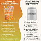 SuperMush Daily Creatine Gummies with Cordyceps - Daily Superfood - Sugar Free Creatine Monohydrate Supplement for Strength, Focus, and Recovery – Vegan Gummy Formula, Mango Flavor, 20-Day Supply