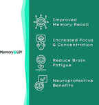 MemoryUP! Sea Scallop-Derived Plasmalogen Supplement for Brain & Cognitive Support, Memory, Focus and Antioxidant Neuro-Support, Ideal for Seniors, Adult Men & Women, 60 Count