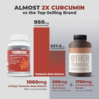 Balance ONE Turmeric Extract 1000mg with Max Strength 95% Curcuminoids - Turmeric Curcumin Supplement for Joint Comfort & Antioxidant Support - Ginger Extract and BioPerine - 1 Month Supply