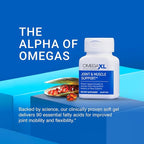 OmegaXL Joint Support Supplement - Natural Muscle Support, Green Lipped Mussel Oil, Soft Gel Pills, Drug-Free, 300 Count