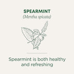 Traditional Medicinals Tea, Organic Spearmint, Supports Everyday Wellness, Healthy & Refreshing - 48 Tea Bags