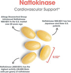 Allergy Research Group ARG Nattokinase 100 mg - Supplement to Support Healthy Circulation - Delivers 100 mg Nattokinase NSK-SD from Fermented Soybeans per Serving - 180 Servings - 180 Capsules