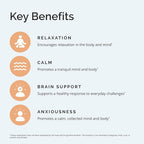 BRAINMD Dr Amen GABA Calming Support - 90 Capsules - Promotes Relaxation - Contains Magnesium, Vitamin B6 & Lemon Balm - 90 Servings