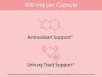 KOYAH - Organic Cranberry Capsules – Freeze-Dried Whole-Berry - 500 mg per Capsule - Urinary Tract Support & Antioxidant Support - 60 Capsules