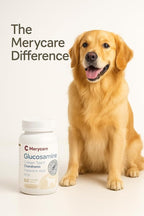 Glucosamine for Dogs – Hip & Joint Support Chewable Tablets with Collagen Type II, Chondroitin, MSM & Hyaluronic Acid – Veterinarian-Formulated – 60 Count