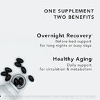 Japanese Longevity Supplement | Black Vinegar (Kurozu) & Okinawa Fermented Rice Extract | Supports Energy, Healthy Aging & Overnight Recovery | 30 Servings (180 Softgels) | Daily Routine 3-Pack