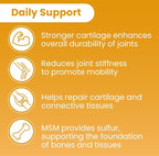 Sanar Naturals Glucosamine Chondroitin MSM Turmeric - Joint Support Supplement for Knees, Back, Hands, and Body - Non-GMO, Gluten Free, 120 Capsules