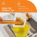 WT WEETEE Turmeric Ginger Tea Bags, 100% Pure Turmeric and Ginger Root Herbal Blend Savory & Spicy, Natural Caffeine-free Spice Tea