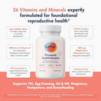 FullWell Women's Prenatal Lemon Essence Essentials - Women's Prenatal Multivitamin & Fish Oil - Supports Maternal Health & Fetal Development - Omega 3, DHA, Folate & Choline - 30 Servings
