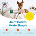 Paramount Pet Health Plant-Based Liquid Glucosamine for Dogs, 1600mg Joint Support Chondroitin, MSM & Omega 3-6-9, Shellfish-Free Dog Arthritis Supplement for Mobility & Flexibility Made in USA 16 oz