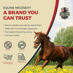 Daybreak Nutrition 8 in 1 Maximum Strength Equine Joint Supplement - Joint Supplement for Horses - Glucosamine, MSM, Chondroitin, Turmeric, Hyaluronic Acid, Manganese, & Boswelia - 964g (30 Servings)