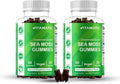 Vitamatic Irish Sea Moss Gummies with Bladderwrack & Burdock Root – Botanical Extract Supplement – Vegan, Non-GMO – 60 Count - 2 Pack (120 Count)