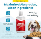 Paramount Pet Health Liquid Glucosamine for Dogs, 1600 mg Glucosamine for Dogs Hip & Joint Supplement, Ideal for Mobility & Comfort, Easy-to-Use Liquid MSM, Chondroitin, Made in USA, 32 oz
