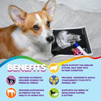Dog Prenatal Vitamins – Multivitamin, Folic Acid, Calcium, Iron, Minerals and Amino Acids. Ideal for Pregnant, Breastfeeding and Newborn Pets – Senior Dog Supplement, Complete Puppy Multi Vitamin.