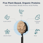Designs for Health Phytotein Vegan Protein Powder - 20g Organic Rice, Sacha Inchi, Pumpkin Seed, Sunflower Seed & Pea Protein Powder Blend - Creamy Texture, Vanilla Plant Protein (465g)