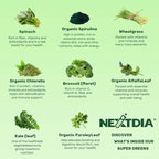 Super Greens Multivitamin Gummies, Daily Greens Superfood Gummies w/Spirulina, Chlorella, Multivitamins, Prebiotic Fiber, Adaptogens, Support Digestive & Gut Health, Immunity, Focus & Energy, 120Cts