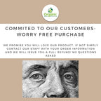 Organic Turmeric Powder w/Curcumin | 2.82 Ounce | USDA Organics and Non-GMO | 100% Raw and Natural by OSR