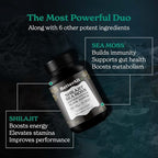 Better Alt Shilajit Sea Moss Capsules Pack of 2 with Ashwagandha & Black Pepper Extract with 85+ Essential Minerals & Antioxidants| Boosts Energy & Metabolism - 120 Servings, 240 Capsules