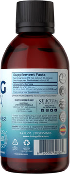 Living Silica ORGONO Silica Drops – Travel Size | Vegan & Mineral-Based Formula | 100mL