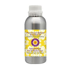 Deve Herbes Pure Gurjun Balsam Essential Oil (Dipterocarpus turbinatus) Steam Distilled 1250ml (42 oz)