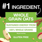 KIND Breakfast Protein, Healthy Snack Bar, Apple Cinnamon, Gluten Free Breakfast Bars, 8g Protein, 1.76OZ Packs, 12 Count (Pack of 2)