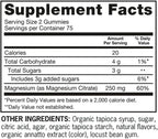 Extra Strength Magnesium Citrate Gummies, 250 mg – 150 Count – Vegetarian & Gluten Free, Orange Flavor (Pack of 1)