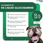 LIQUIDHEALTH Pets K9 Liquid Glucosamine for Dogs, Puppies, Senior Canines with Chondroitin, MSM, Hyaluronic Acid - Dog Vitamins for Hip & Joint Health, Dog Joint Oil, Joint Juice - Made in USA (32 oz)