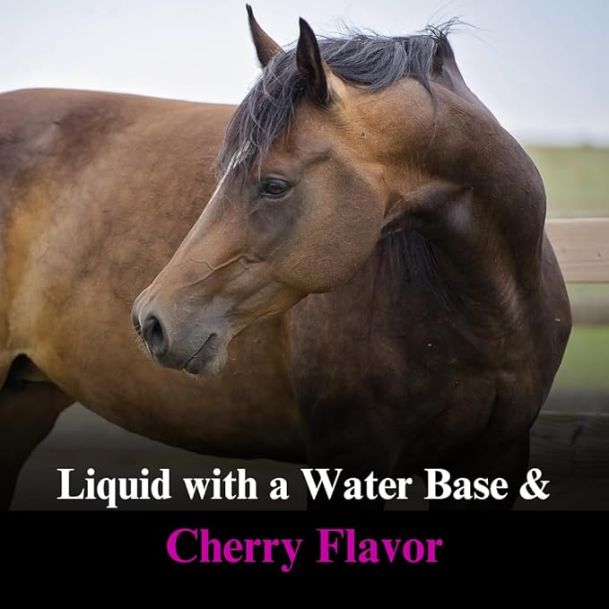 SU-PER Hyaluronic Joint Supplement for Horses - Supports Joints Health & Lubrication - Horse Hyaluronic Acid Liquid - 1 Quart