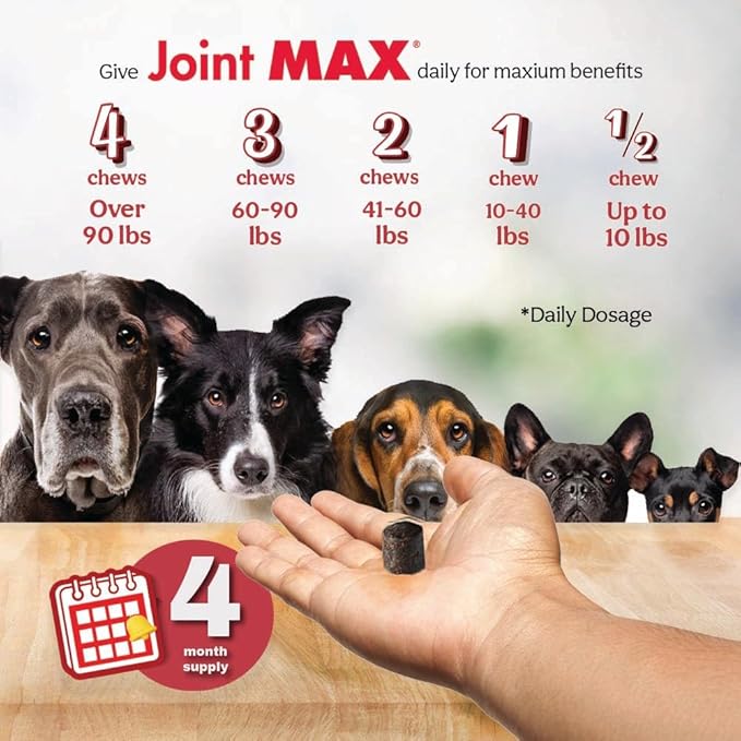 TS Joint Supplement Vet Formulated Pain & Inflammation Relief Treats Hip Dysplasia & Arthritis.Glucosamine, Chondroitin, Turmeric, MSM, HA, Creatine, Omega 3 EPA+DHA. All Dogs 240 Soft Chews