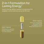 Seed AM-02 Energy + Focus - Daily Nootropic Supplement for Women & Men - Fast-Acting & Sustained Energy for Up to 6 Hours - Caffeine-Free Vegan & Shelf-Stable - 30 Capsules (30-Day Supply)