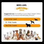 Turmeric Treats for Dogs – Turmeric Curcumin Supplement with MSM, Coconut Oil & Vitamin E – Hip & Joint Support Supplement for Pain Relief, Arthritis, Mobility & Anti-Inflammatory for Dogs – 90 Chews