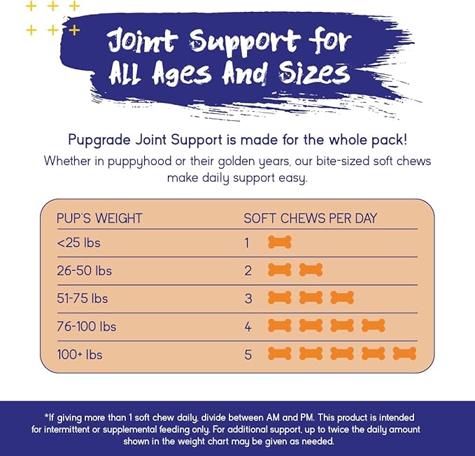 PupGrade Joint Support Supplement for Dogs - Glucosamine + Chondroitin with MSM and Perna - Supports Normal Hip & Joint Health for Occasional Discomfort, Beef Flavor - 180 Soft Chews