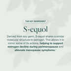 EQUELLE Multi-Symptom Perimenopause & Menopause Relief Relief from Hot Flashes, Muscle Aches & Supports More Sleep. Hormone-Free, Plant-Based S-Equol – 1 Month Supply (60 Tablets)