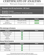 Vitamatic Iron 65 mg Gummies Supplement for Women & Men - 60 Vegan Gummies - Great Tasting Iron Gummy Vitamins with Vitamin C (1)