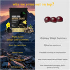 Himalayan Shilajit Gummies – 3000mg Shilajit with Gokshura, Ginger & Black Musli, Fulvic Acid & 85+ Trace Minerals, No Added Sugar, Natural Energy & Stamina Support – 60 Gummies